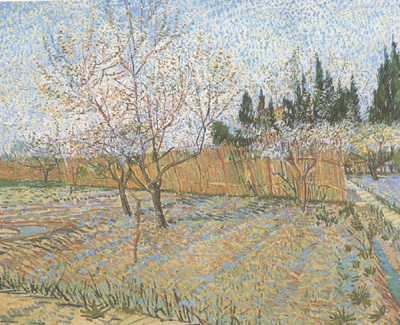 Orchard with Peach Trees in Blossom (nn04)